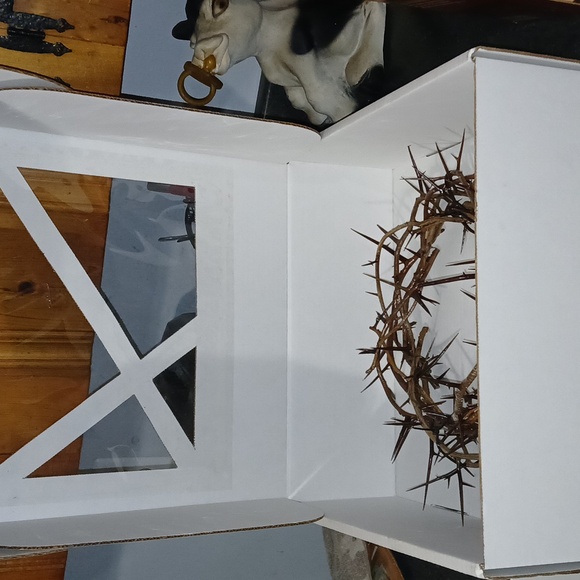 Crown of Thorns 24" - Picture 6 of 7